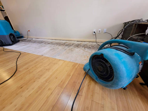 Professional Water Removal technician working in Middle Bass, OH